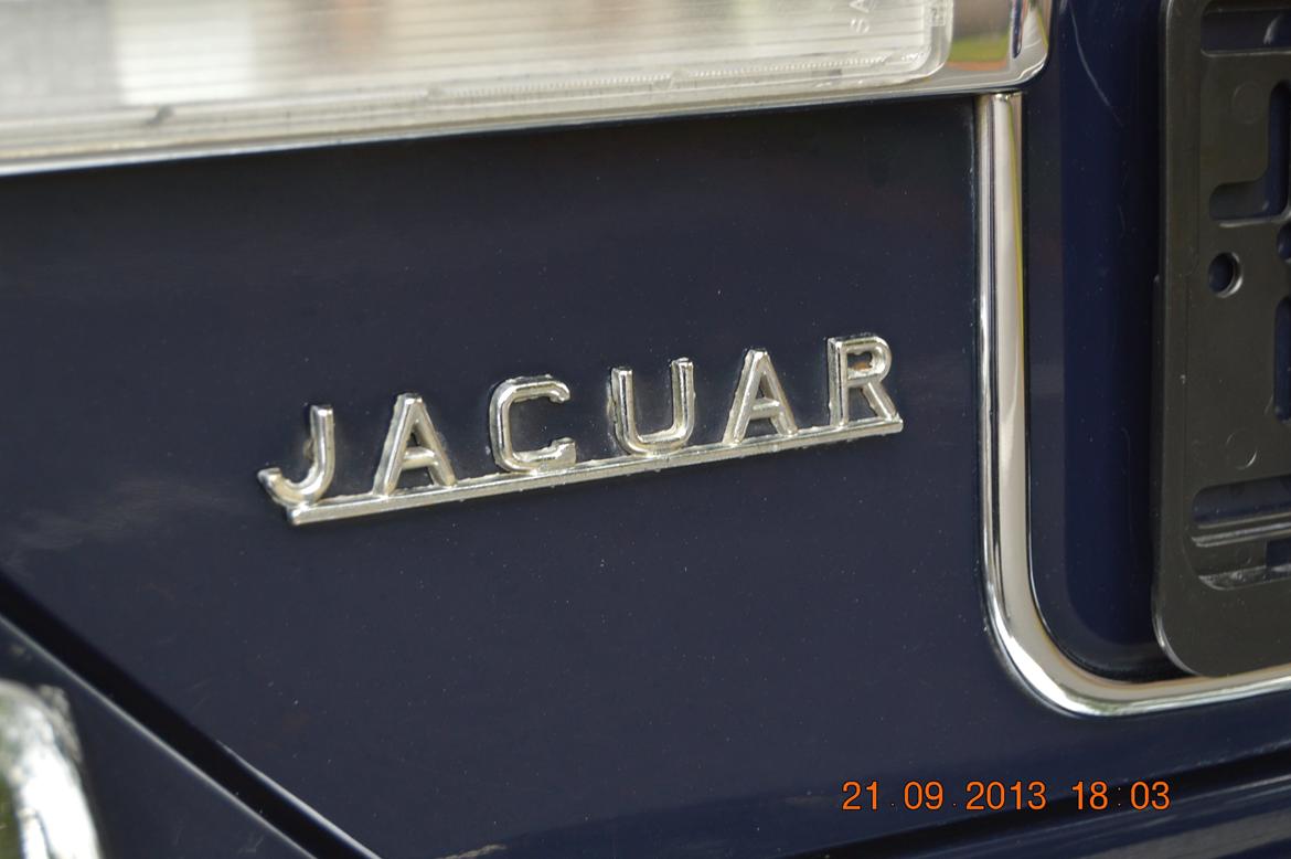 Jaguar XJ 3,4 L - Tidstypisk emblem billede 15