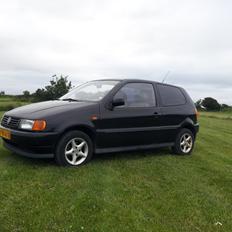 VW Polo 6N