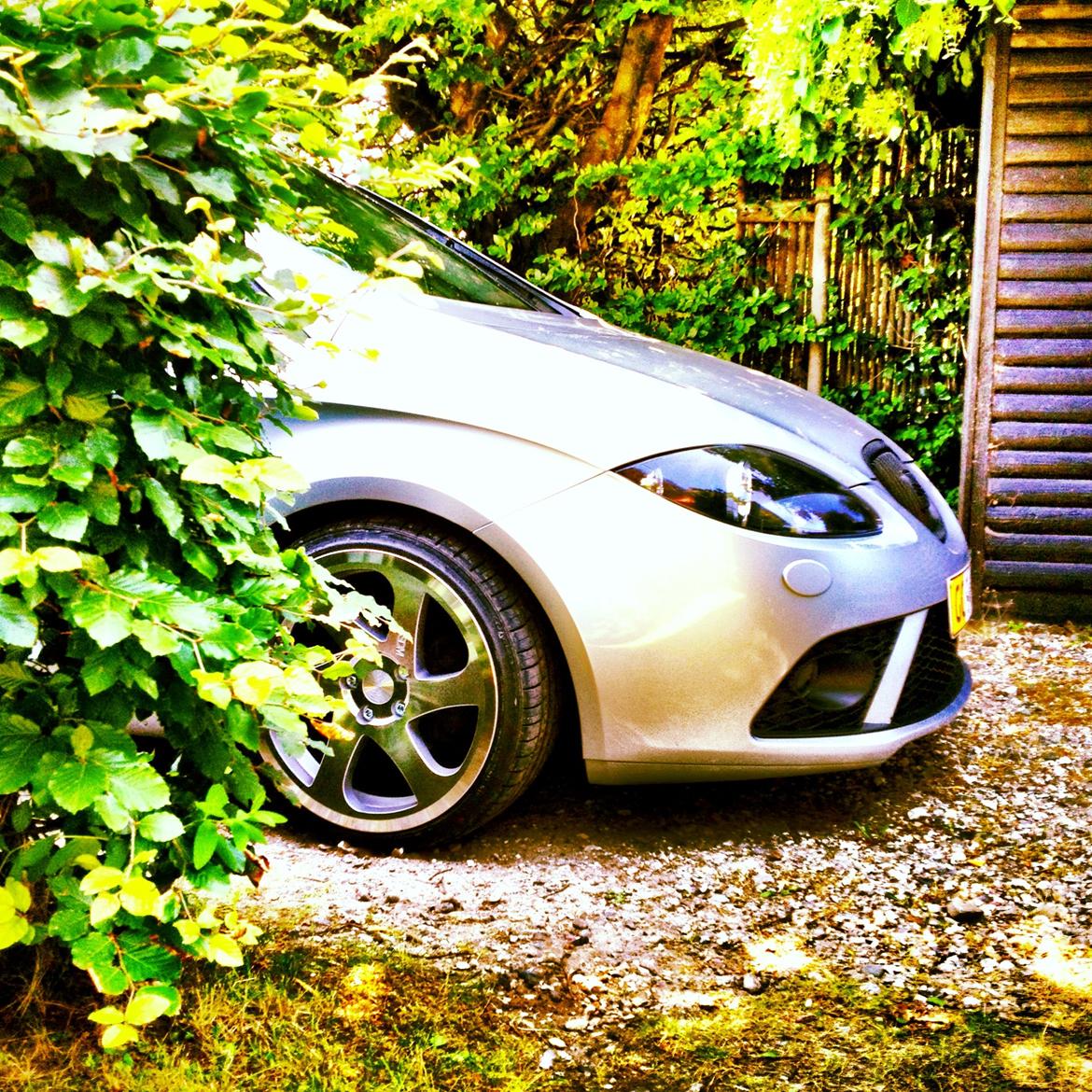 Seat Altea billede 11