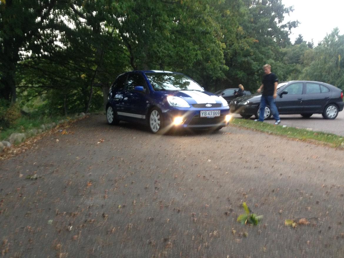 Ford Fiesta ST150 billede 29