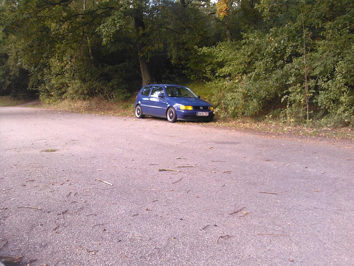 VW Polo 6n 1,4 8v billede 35