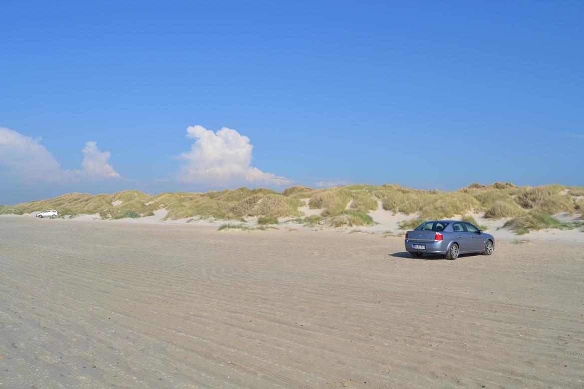 Opel Vectra billede 1