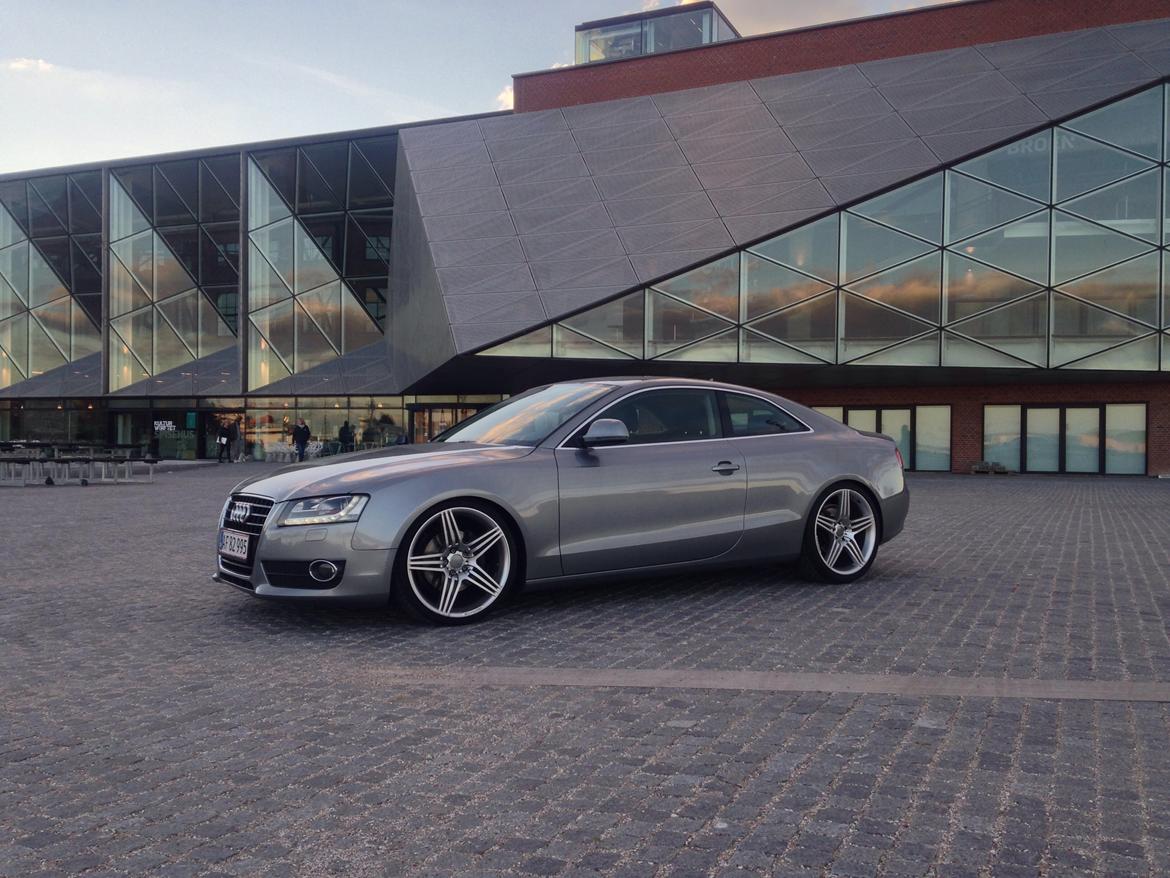 Audi A5 2.7 TDI Coupe  billede 14