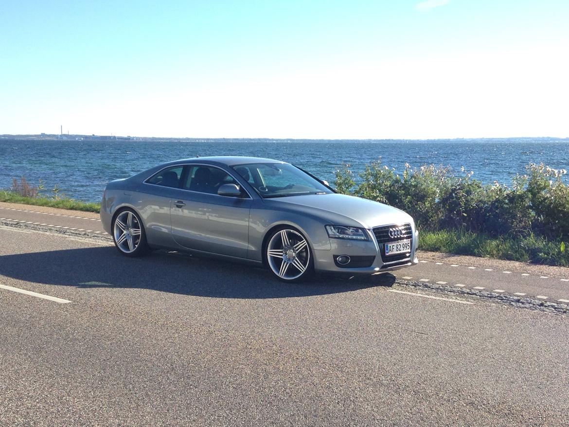Audi A5 2.7 TDI Coupe  billede 15