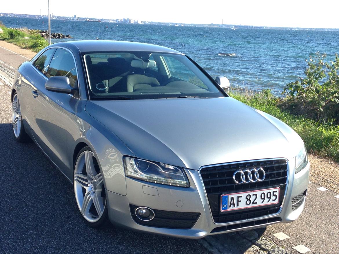 Audi A5 2.7 TDI Coupe  billede 16