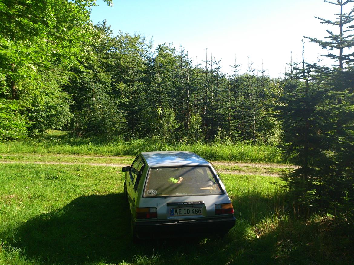 Toyota Corolla billede 6