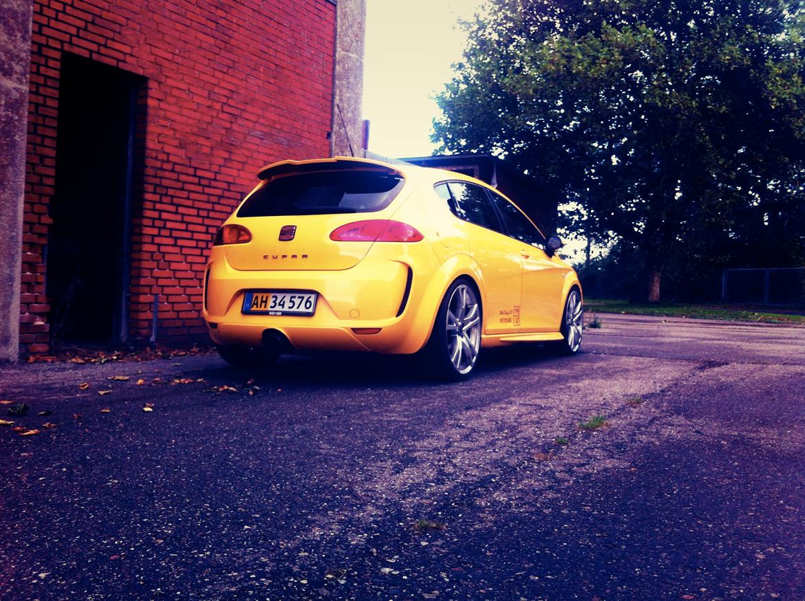 Seat Leon Cupra billede 3