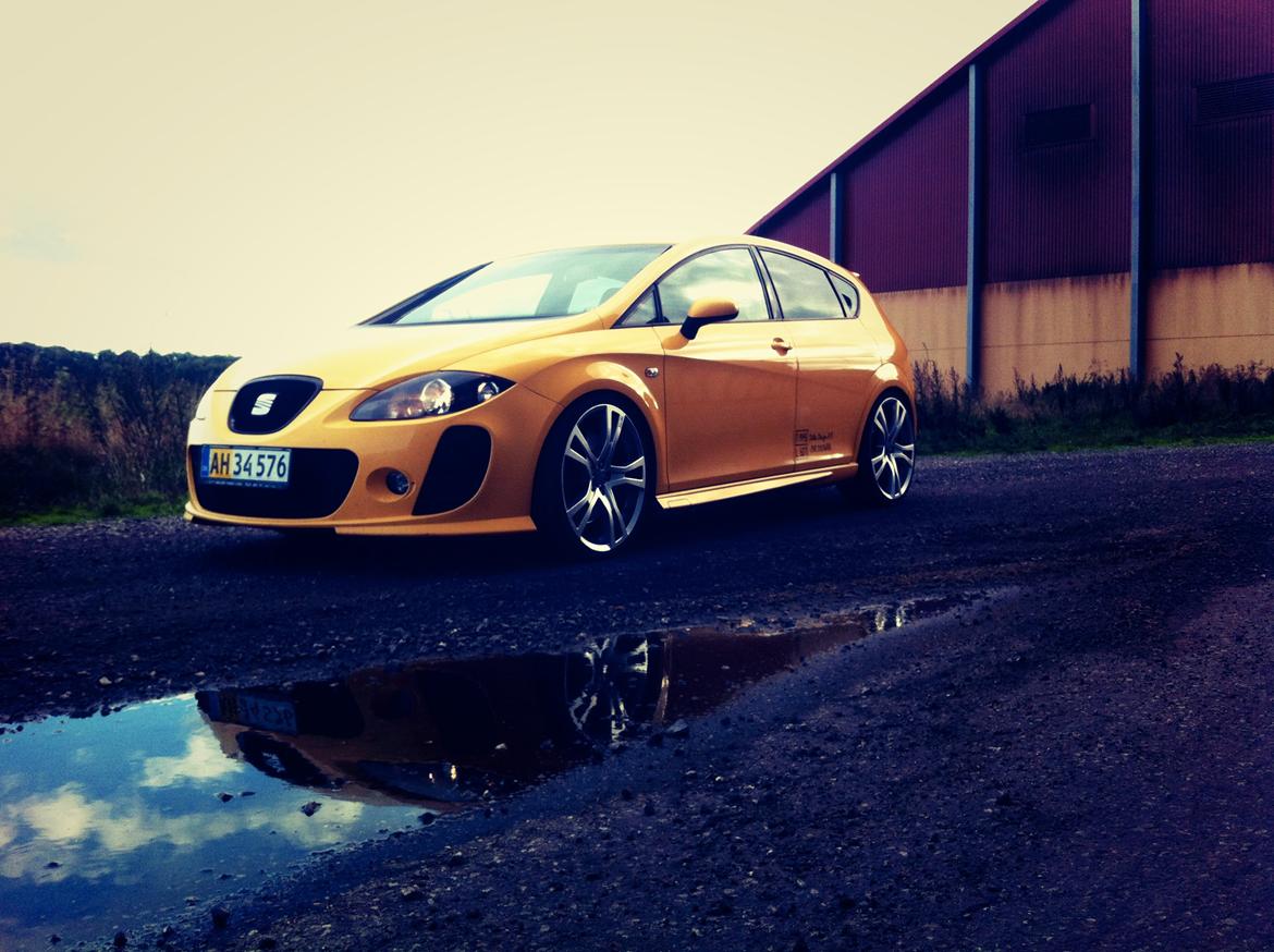 Seat Leon Cupra billede 4