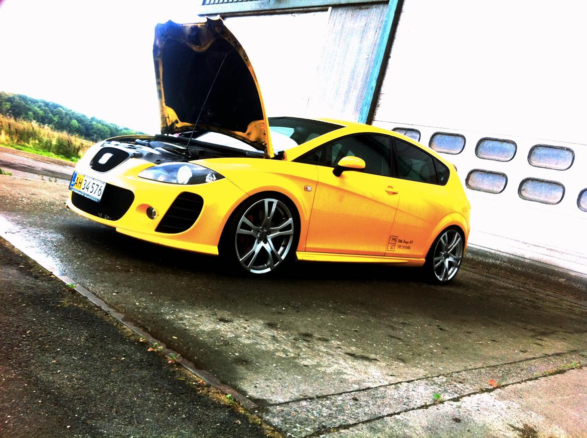 Seat Leon Cupra billede 5