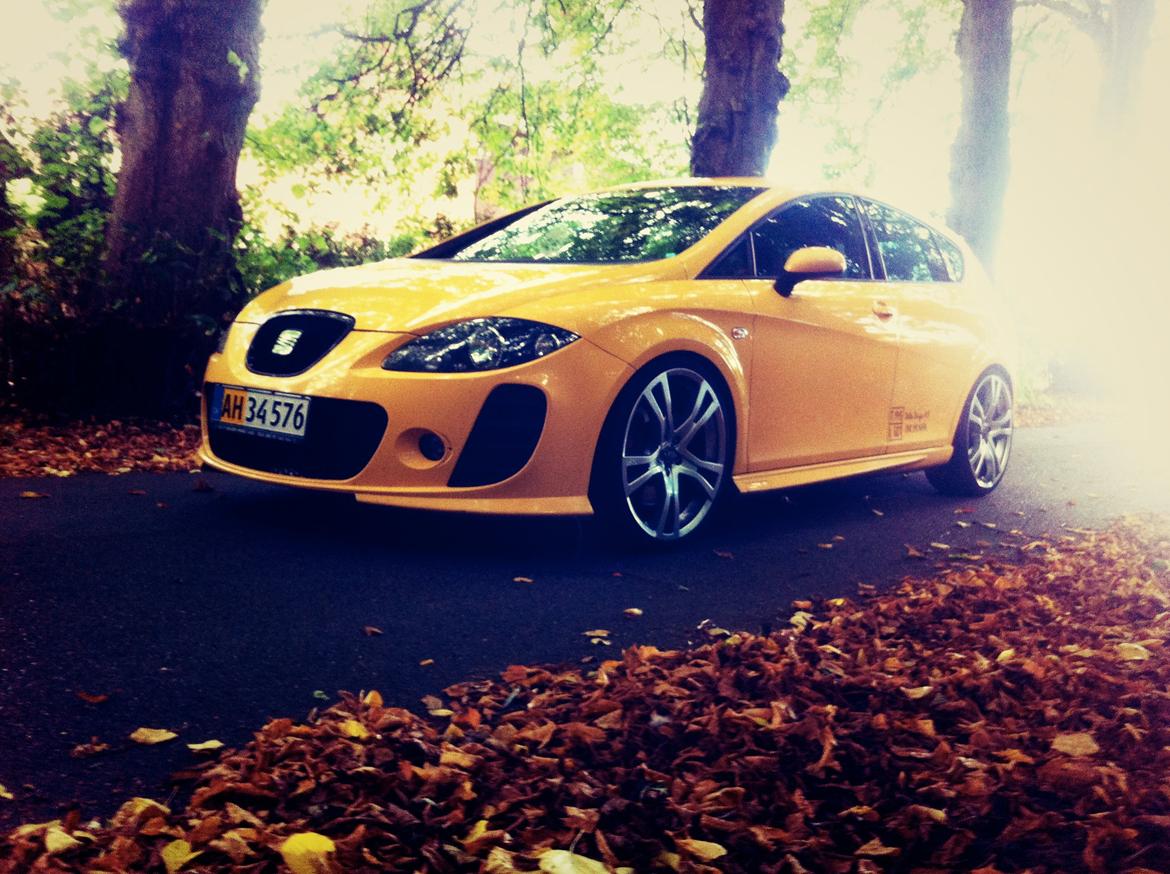 Seat Leon Cupra billede 7