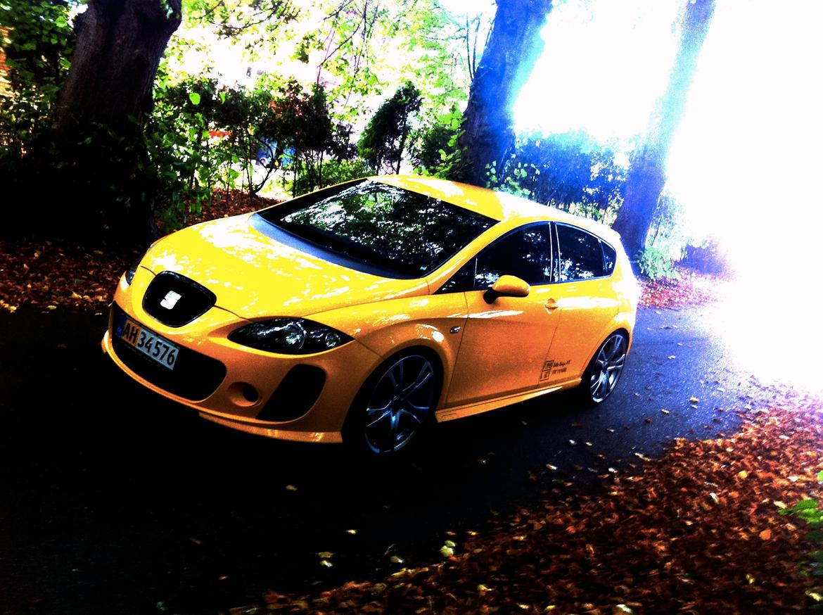 Seat Leon Cupra billede 8