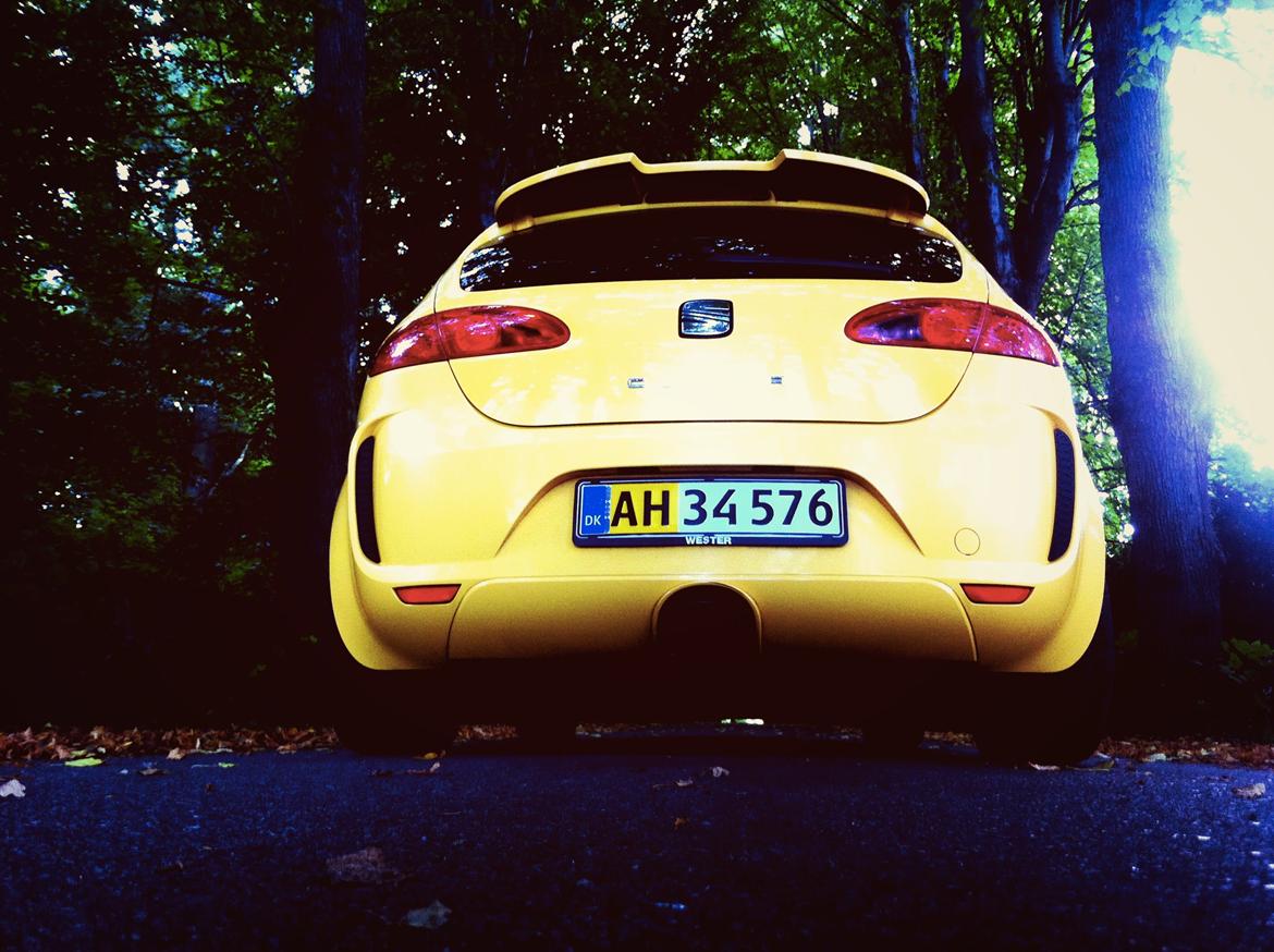 Seat Leon Cupra billede 9