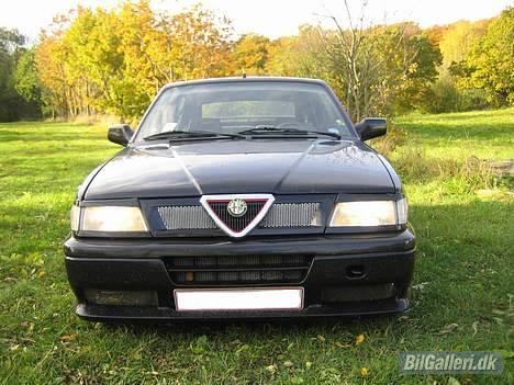 Alfa Romeo 33 billede 19
