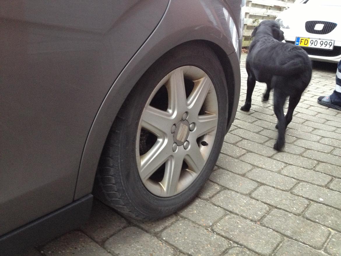 Seat Altea TDI billede 18