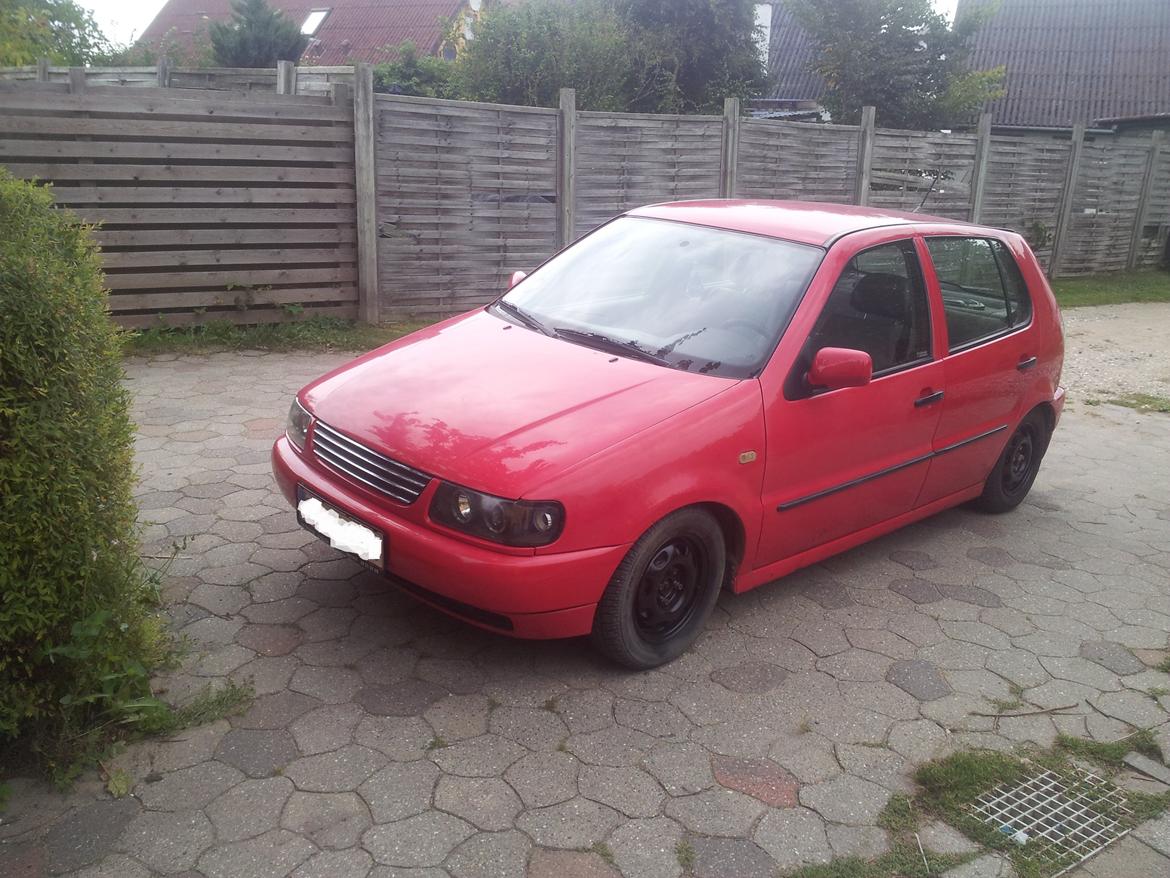 VW Polo 6N 1,6 8V billede 17