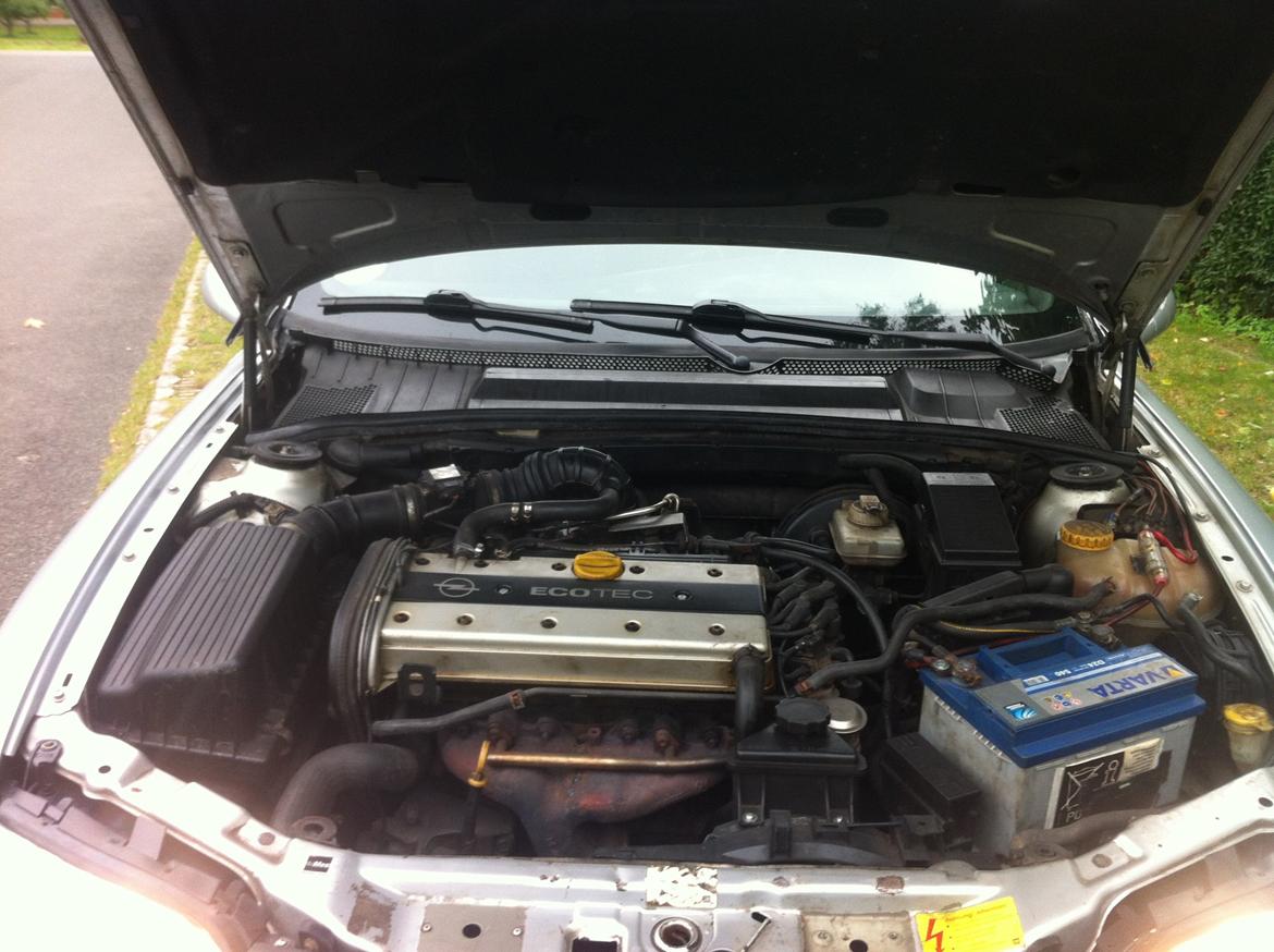 Opel Vectra B 1.8 16v billede 13