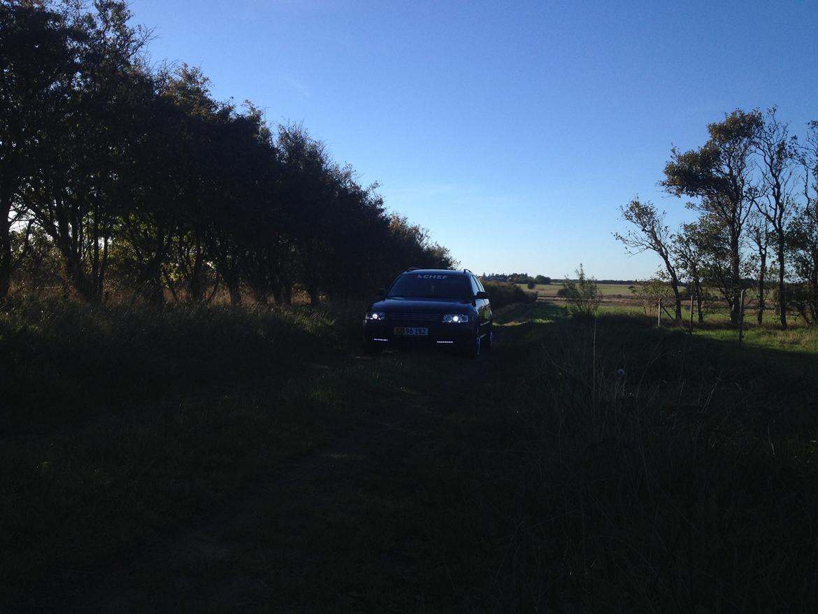 VW Passat 1,9 TDI billede 20