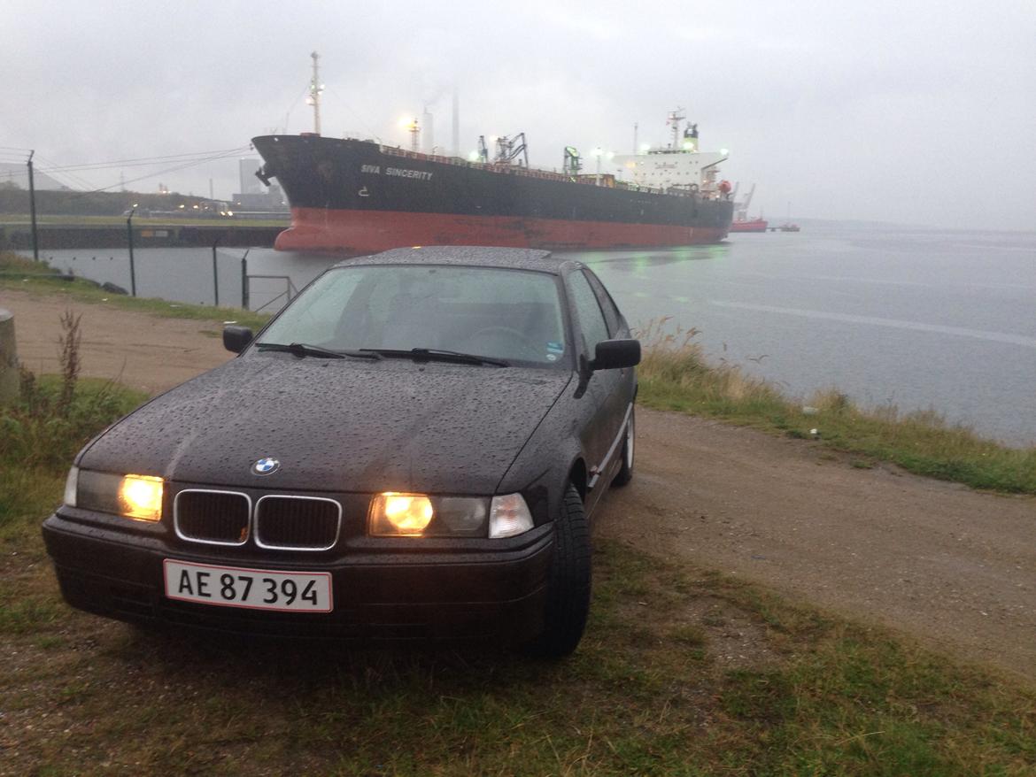 BMW 316i compact billede 2