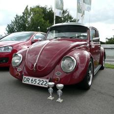 VW Bobbel "Tulle"