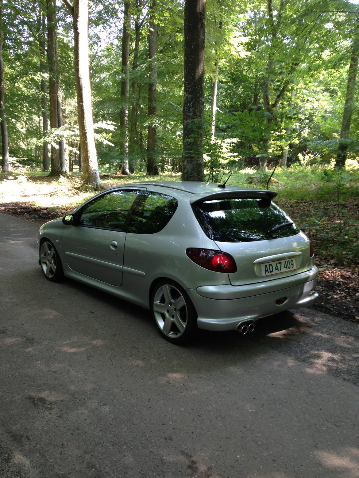 Peugeot 206 RC billede 1