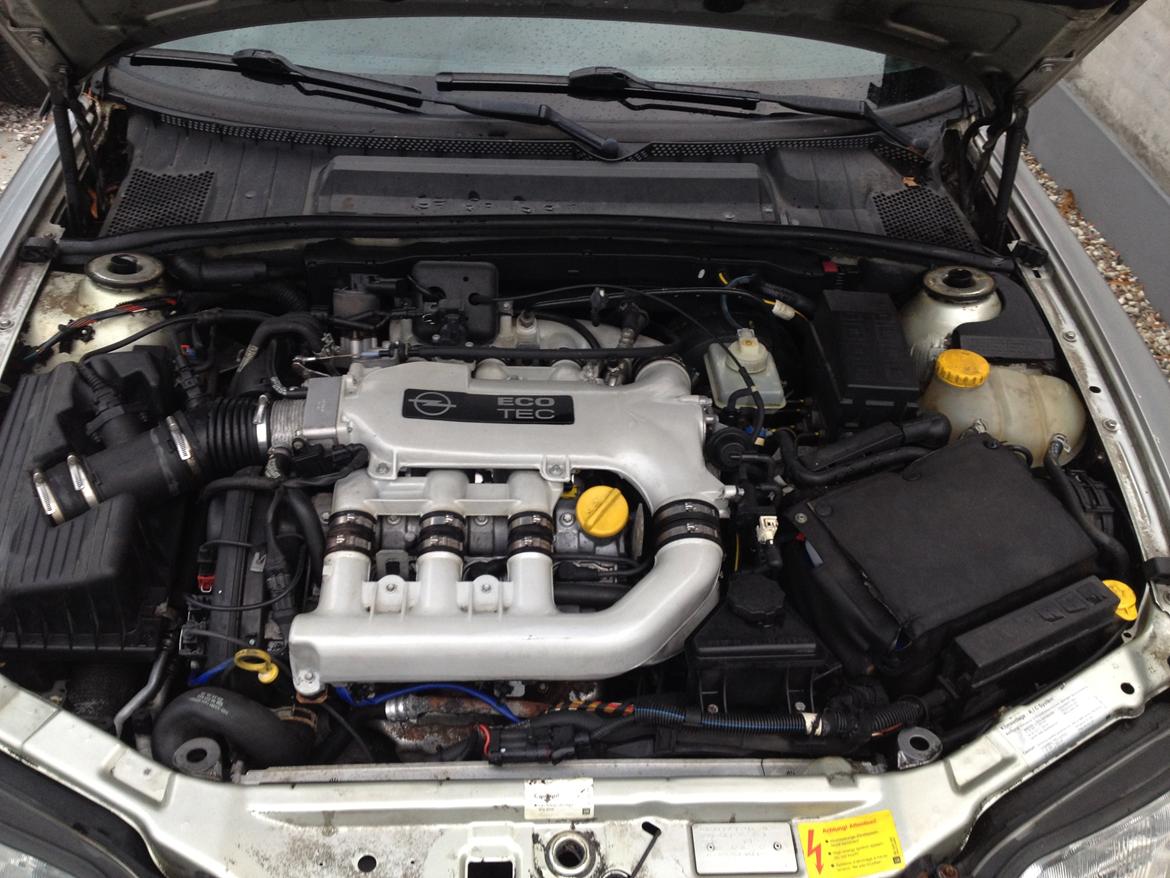 Opel Vectra B 2.5 V6 CD billede 18