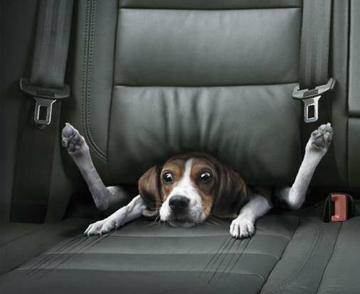 Volvo 850 R - You can't beat the tourqe... billede 9