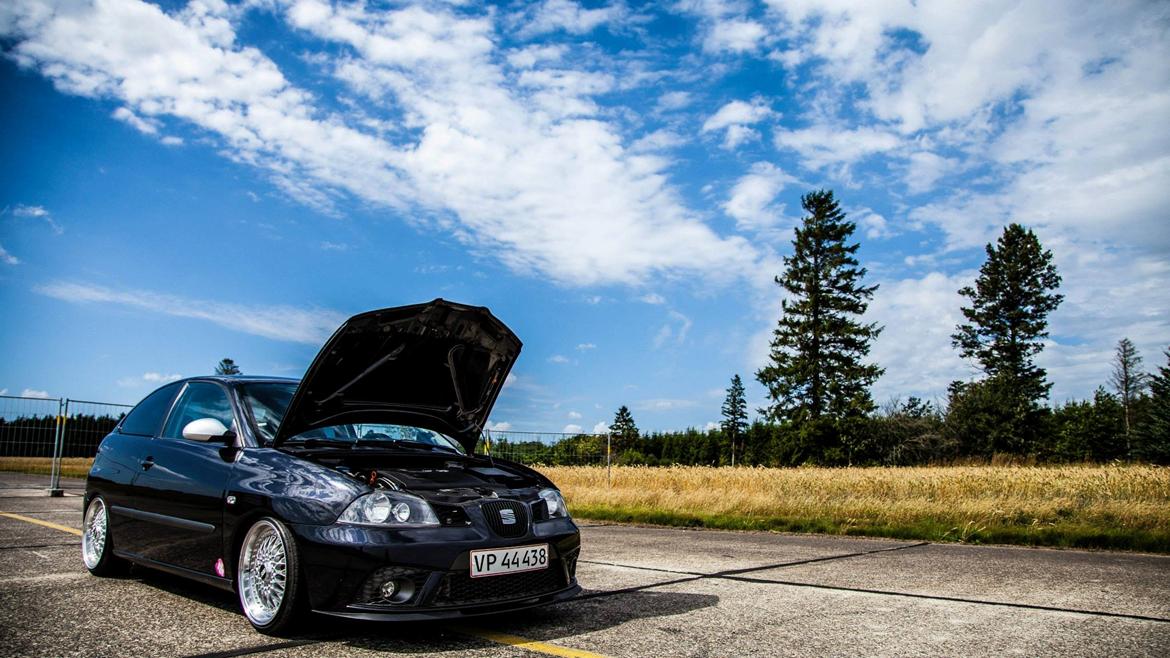 Seat Ibiza 6L billede 15