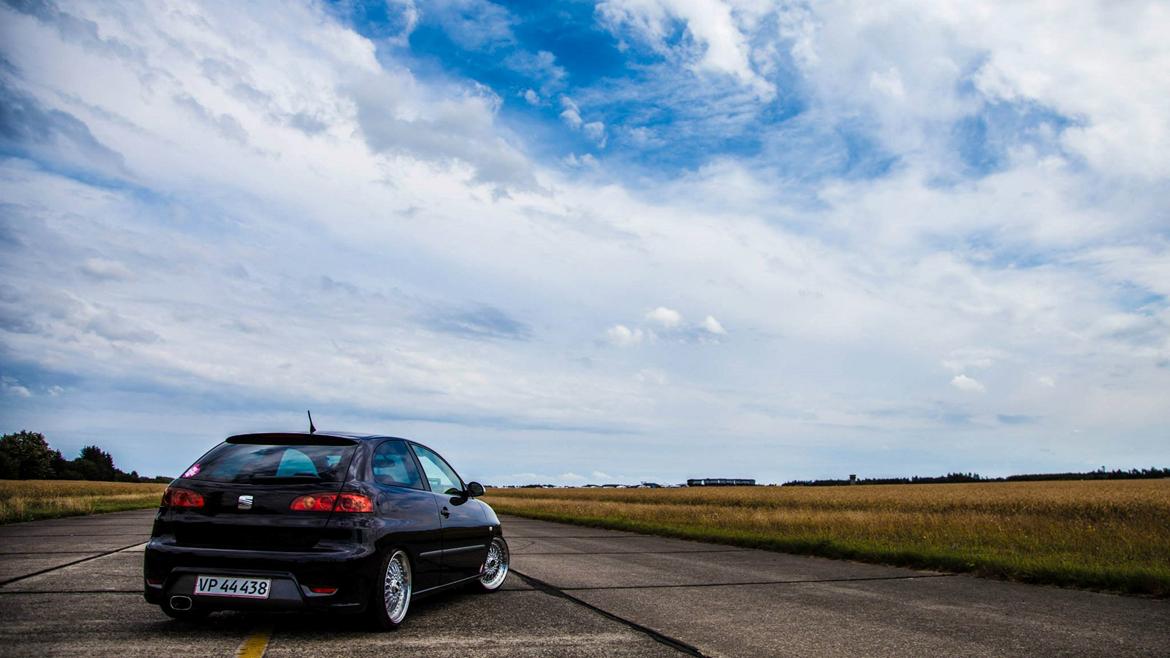 Seat Ibiza 6L billede 17