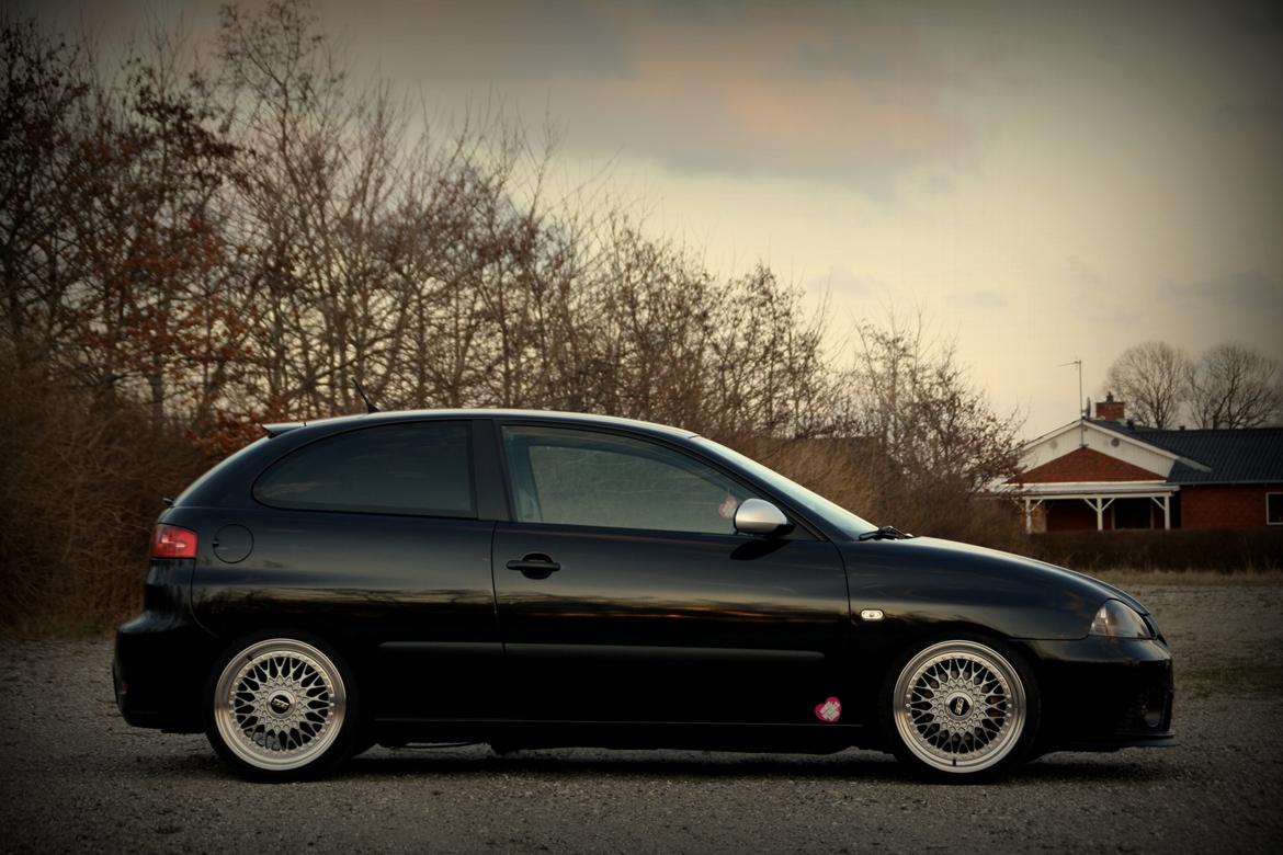 Seat Ibiza 6L billede 23