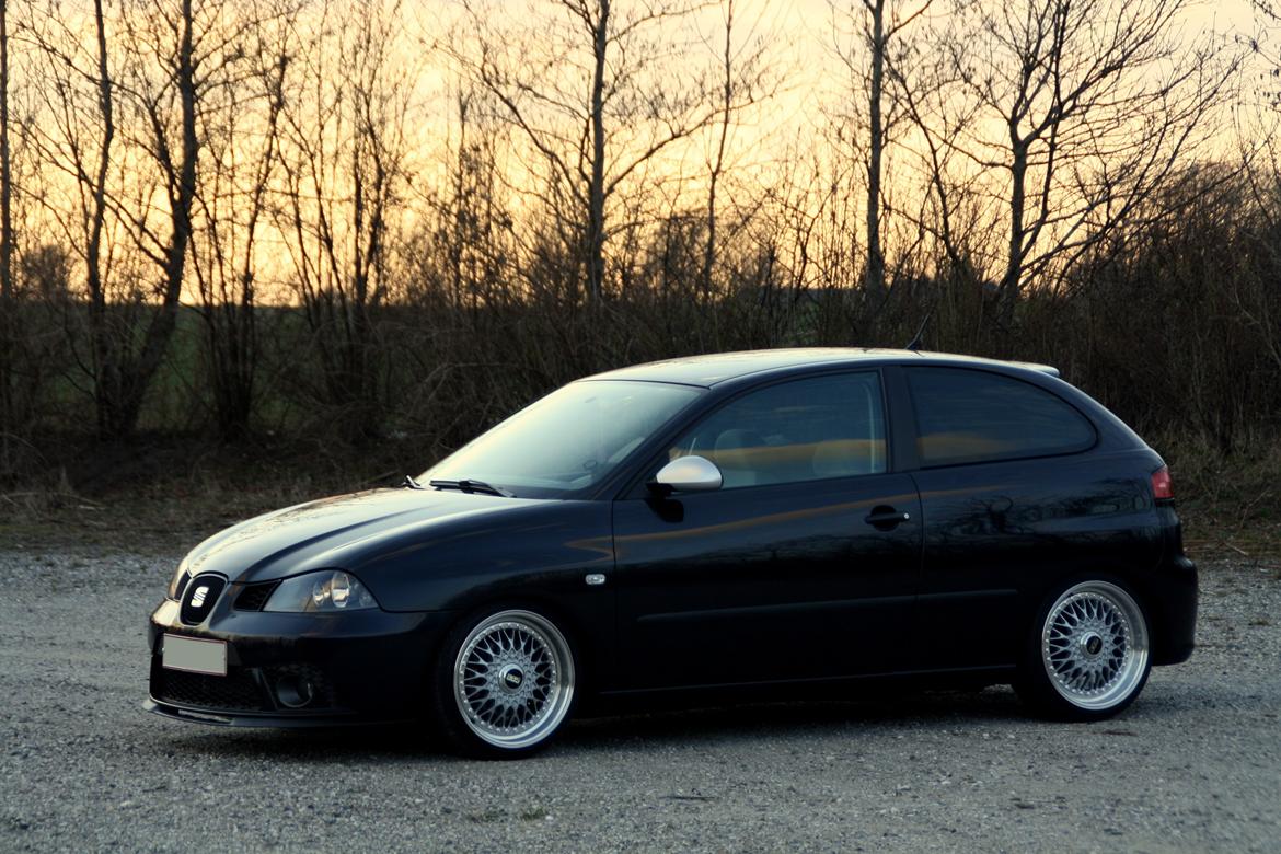 Seat Ibiza 6L billede 24