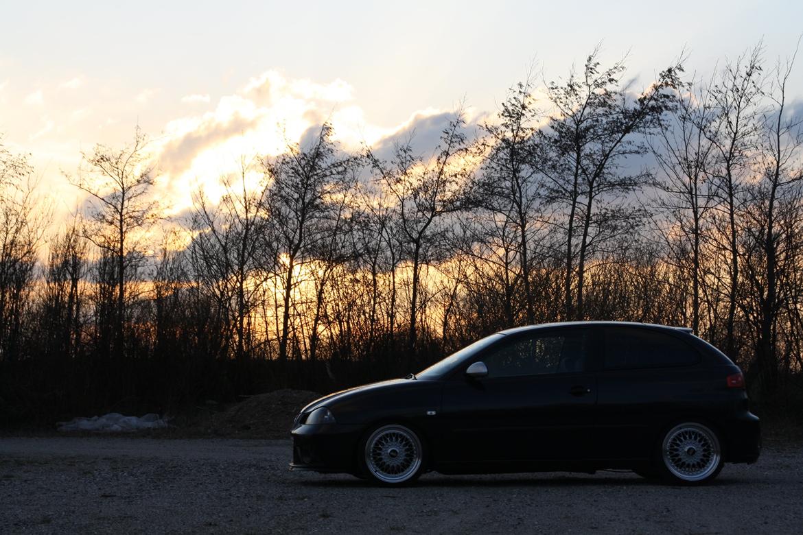 Seat Ibiza 6L billede 25