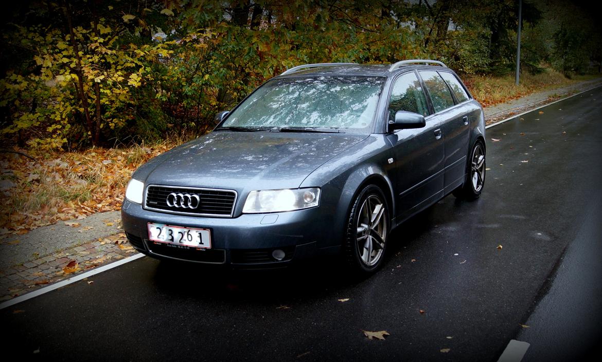 Audi A4 Avant 2.5 TDI Quattro billede 1