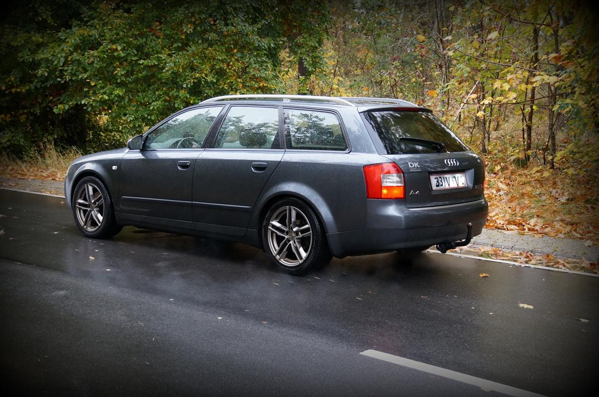 Audi A4 Avant 2.5 TDI Quattro billede 2