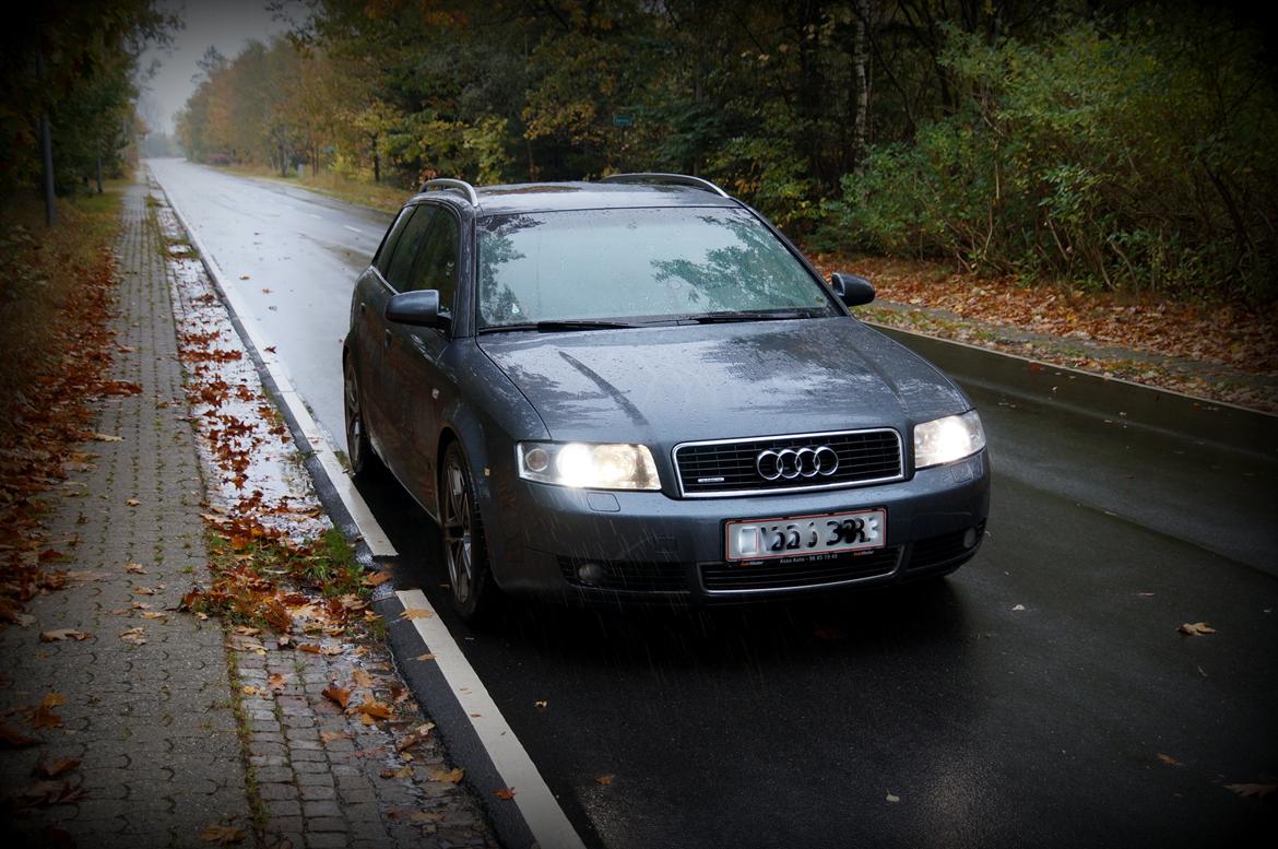 Audi A4 Avant 2.5 TDI Quattro billede 4