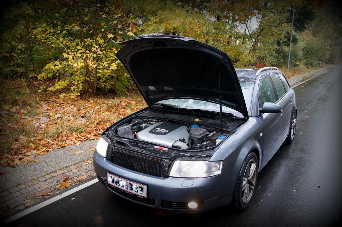 Audi A4 Avant 2.5 TDI Quattro billede 7