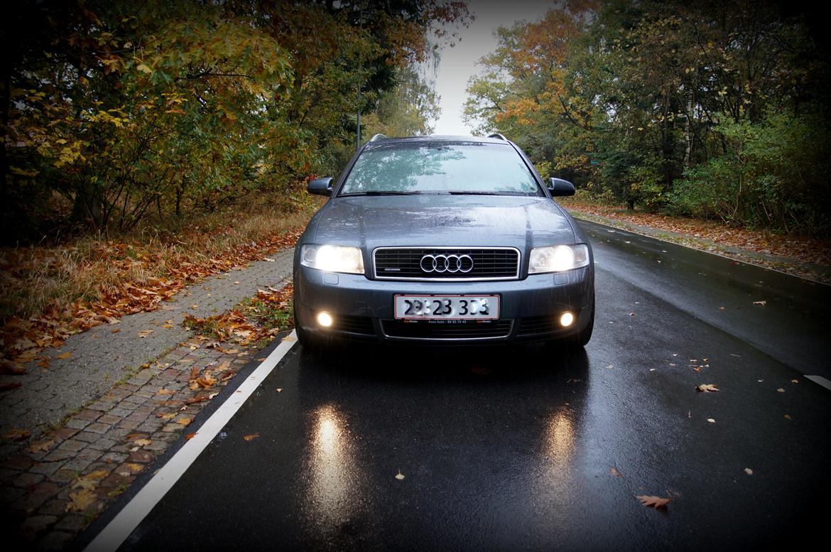 Audi A4 Avant 2.5 TDI Quattro billede 10