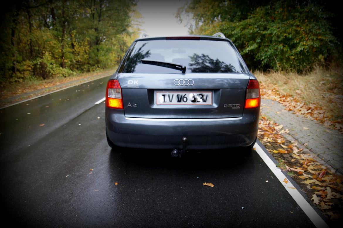Audi A4 Avant 2.5 TDI Quattro billede 11