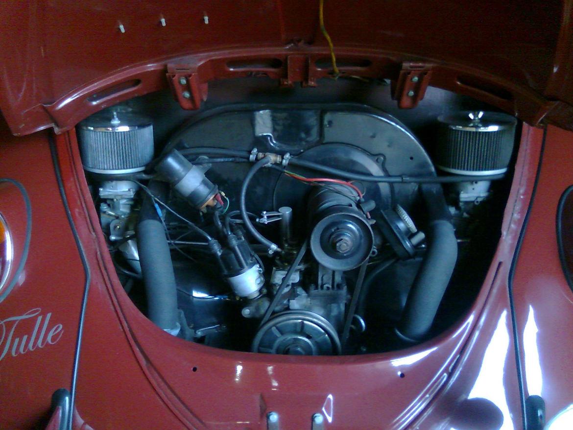 VW Bobbel "Tulle" billede 8