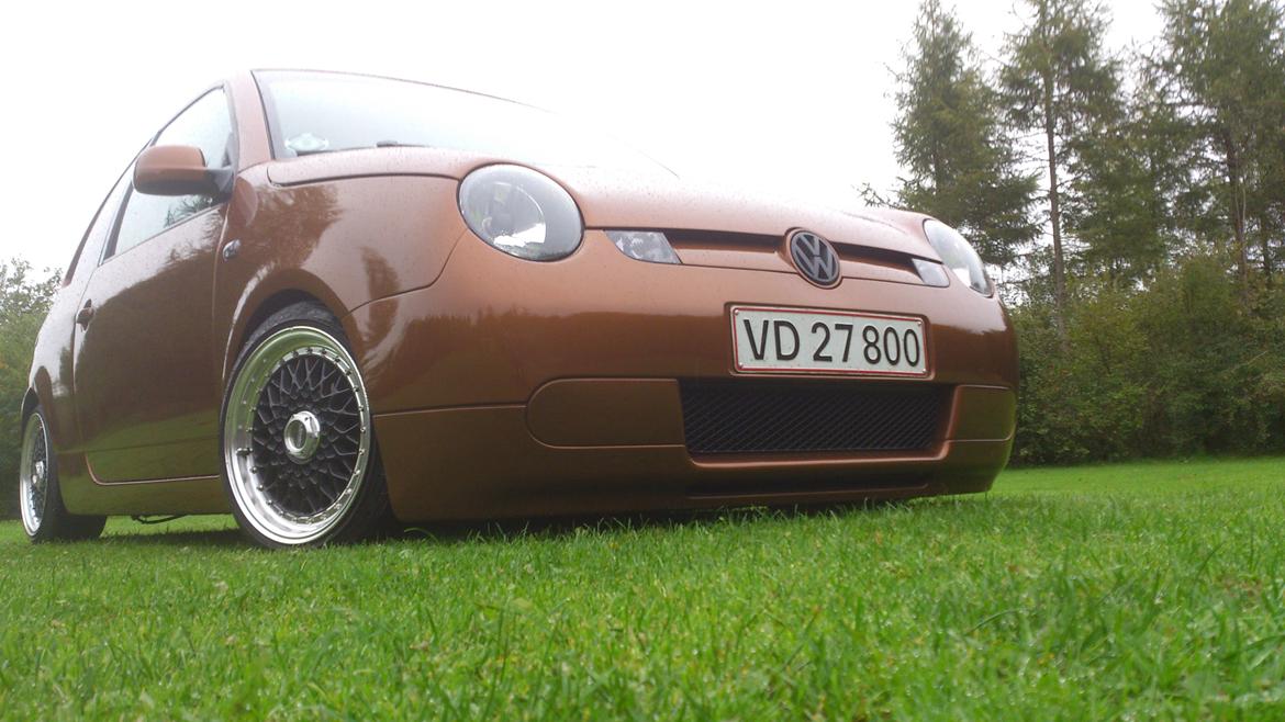 VW Lupo 3L "Lille Lort" billede 2