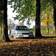 VW Passat 3B Comfort.