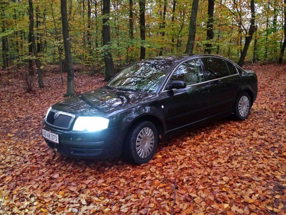 Skoda superb billede 1