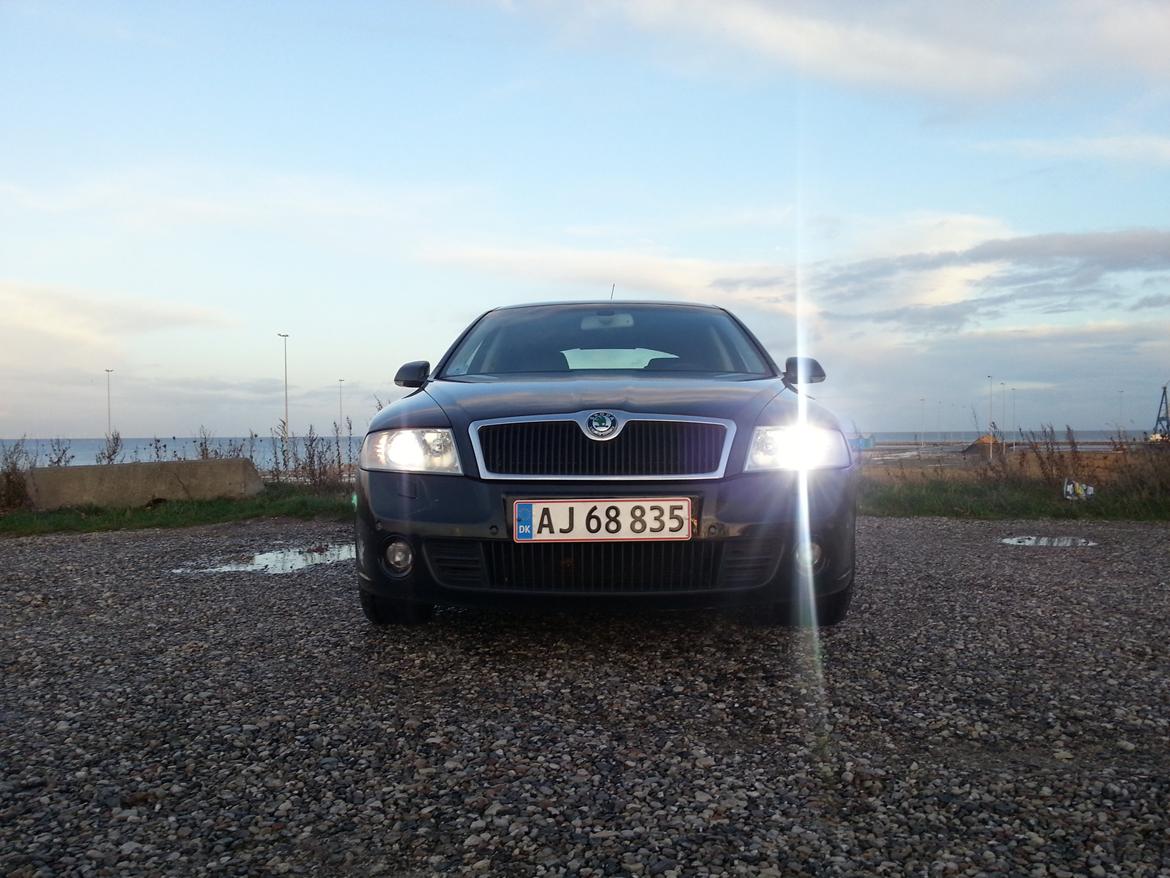 Skoda Octavia 2,0 TDI Elegance billede 1