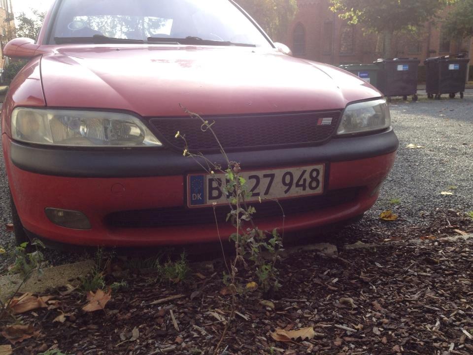 Opel Vectra B billede 6
