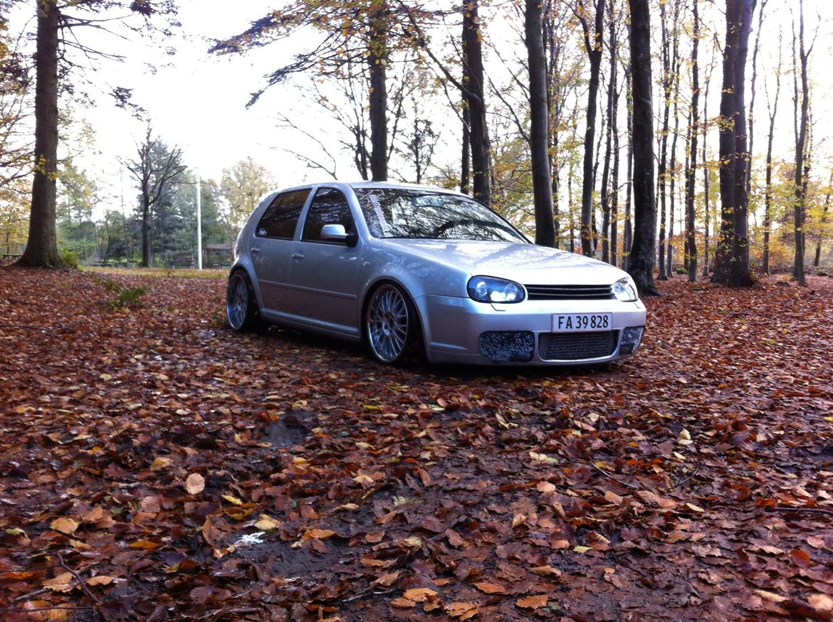 VW Golf IV 1.9 TDI Trendline Airride billede 1