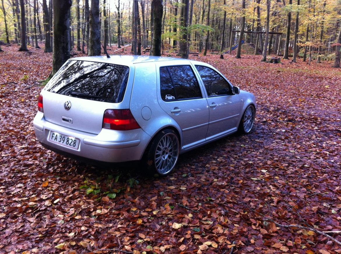 VW Golf IV 1.9 TDI Trendline Airride billede 2