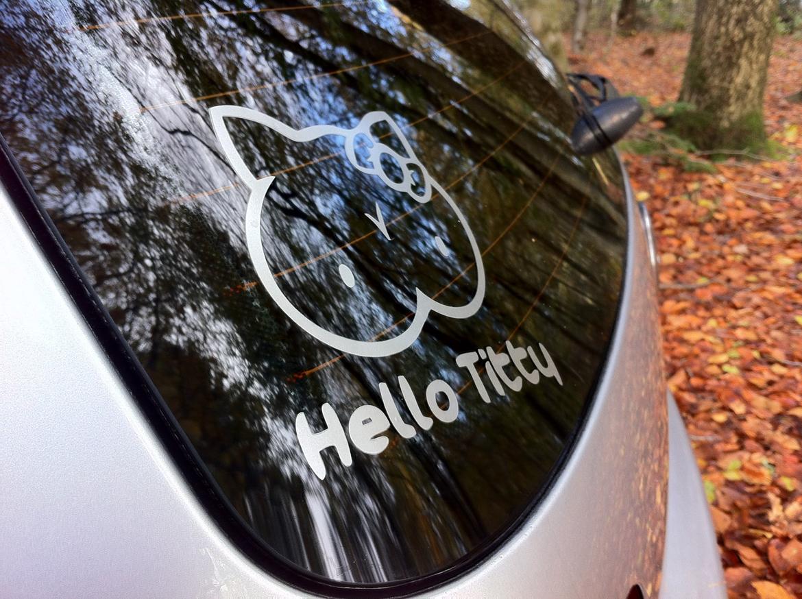 VW Golf IV 1.9 TDI Trendline Airride billede 13