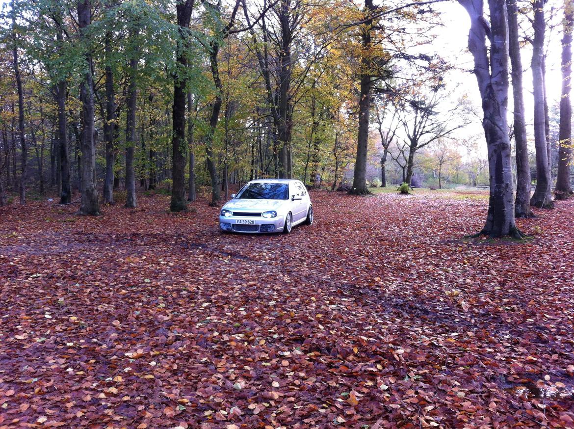 VW Golf IV 1.9 TDI Trendline Airride billede 16