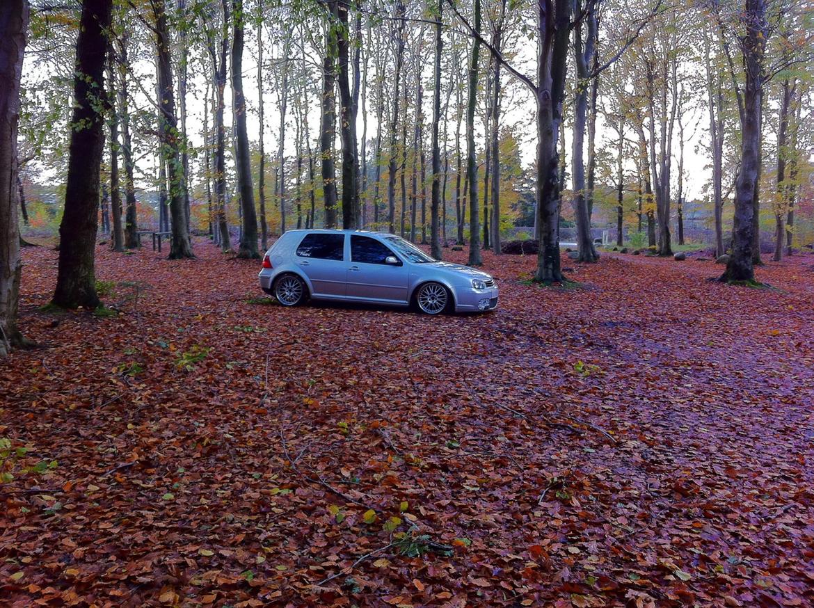 VW Golf IV 1.9 TDI Trendline Airride billede 20