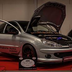 Peugeot 206 Gti