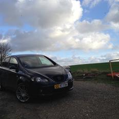 Seat Altea 2.0 DSG Sport Up